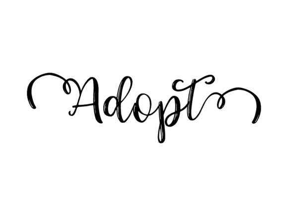 Adopt Lettering Graphics for Print Templates