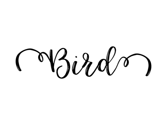 Bird Lettering Graphics for Print Templates